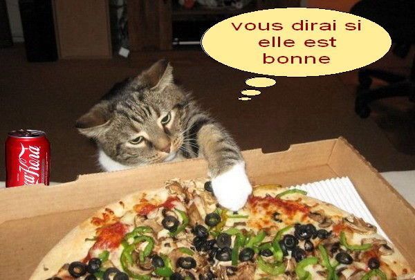 par ici la pizza